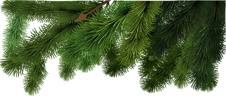 Продукты питания